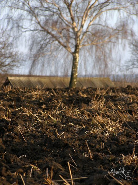 Фотовиставка Тетяни Должко